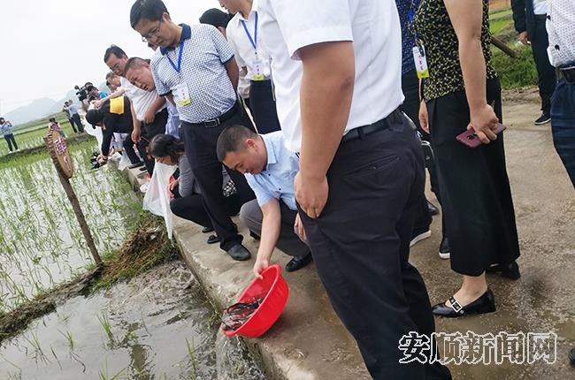 QQ图片20190527103331.jpg