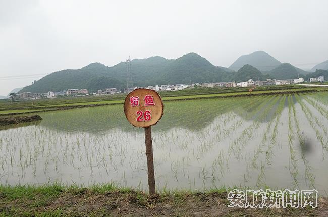 QQ图片20190527103325.jpg
