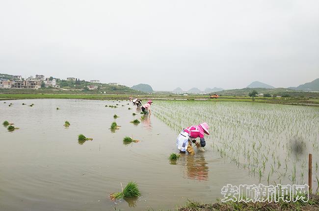 QQ图片20190527103512.jpg