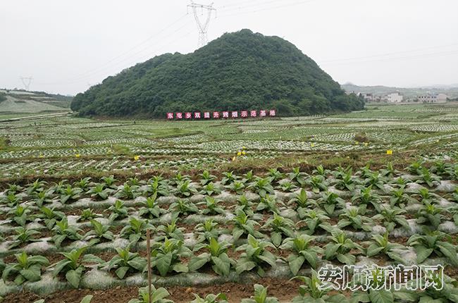QQ图片20190527105001.jpg