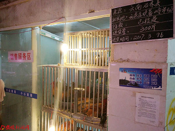 封闭的活禽区.jpg 封闭的活禽区.jpg