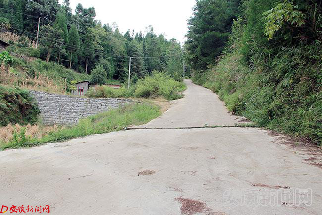 五一村今年五月已经完成修建的通组路.JPG