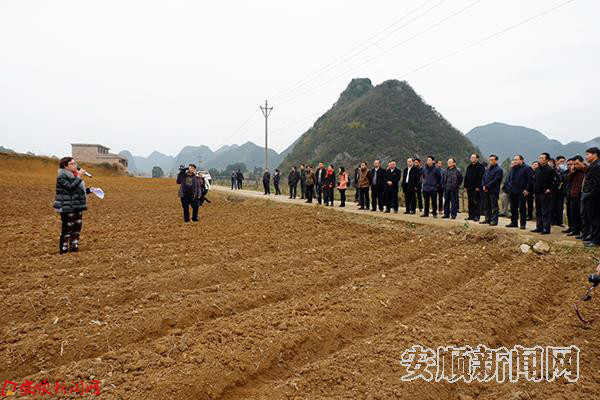 实地观摩杨武乡石平村药材种植基地.jpg