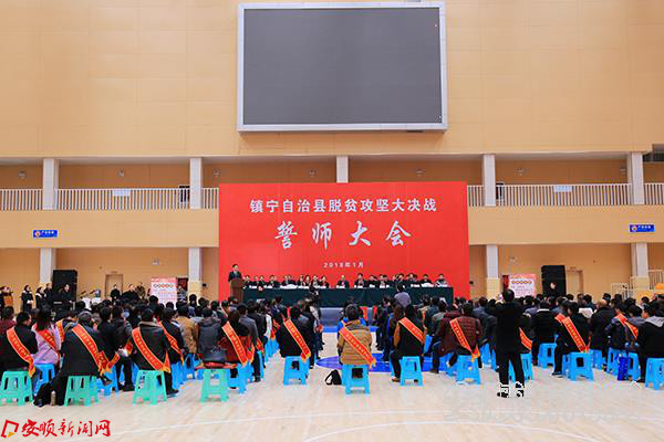 IMG_0833.JPG IMG_0833.JPG