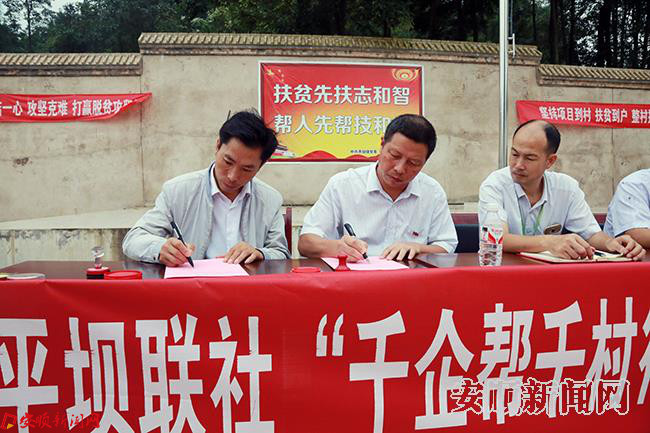 平坝联社党委十字党支部与新寨村党总支委员会签订“双基联动”金融服务合作协议.JPG