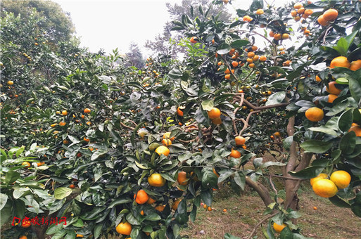 F4C0B833-6A87-4C92-B258-242B8A7A0AB0_IMAGE_0_LOW_0