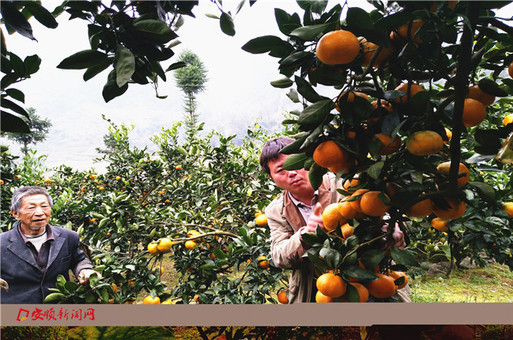 F4C0B833-6A87-4C92-B258-242B8A7A0AB0_IMAGE_1_LOW_0