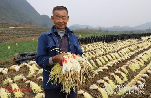 002324abd6f41d29899527