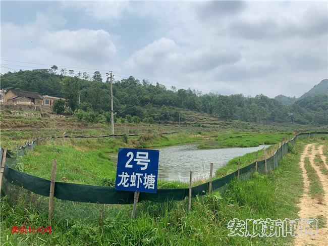 小龙虾养殖示范基地2.jpg