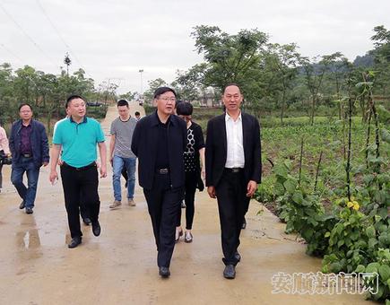 吴刚平调研中药材产业发展.jpg 吴刚平调研中药材产业发展.jpg
