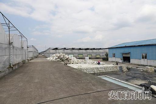 烟叶育苗大棚.jpg