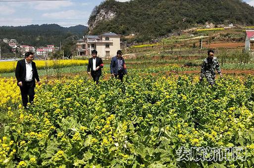 朱高学（左一）带领村干部实地考察准备高标准蔬菜基地建设前期工作.jpg
