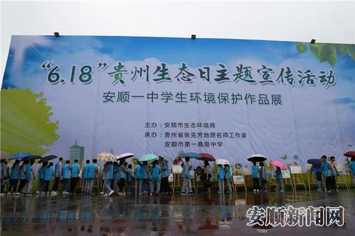681362b5-0ee3-401d-b7b5-65a687bba508_IMAGE_3.jpg