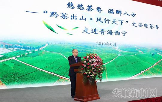 熊元副市长推介安顺茶产业.jpg 熊元副市长推介安顺茶产业.jpg