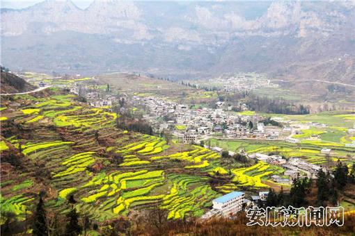 FA9E9B4F-842F-418D-BC53-BB681F5A7B99_IMAGE_4_LOW_0.jpg