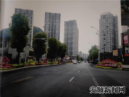 清水湾异地补绿设计效果图.jpg