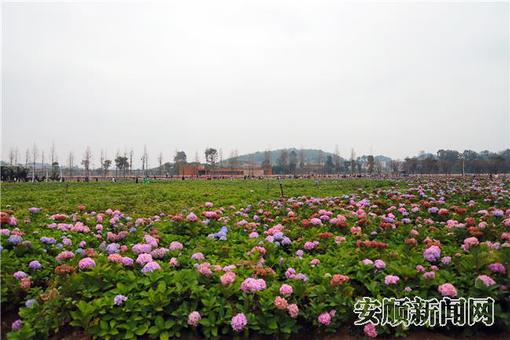 220929DD-5CB8-4F7C-92AB-8B8F9D740659_IMAGE_4_LOW_0.jpg