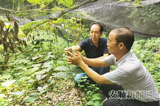 QQ图片20190731192234