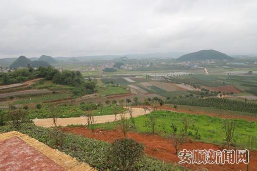 811f3b6c-970a-4960-aa12-c6cd243f3167_IMAGE_4_副本.jpg