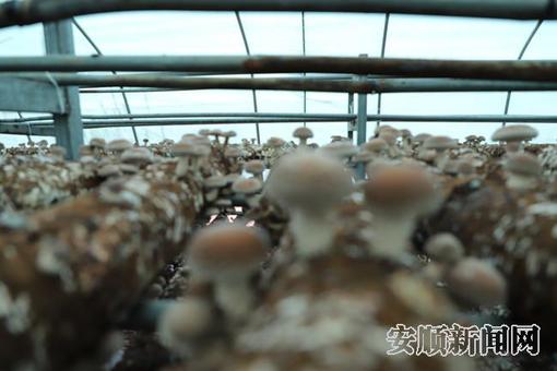 811f3b6c-970a-4960-aa12-c6cd243f3167_IMAGE_14_副本.jpg