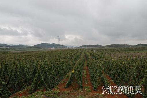 811f3b6c-970a-4960-aa12-c6cd243f3167_IMAGE_2_副本.jpg