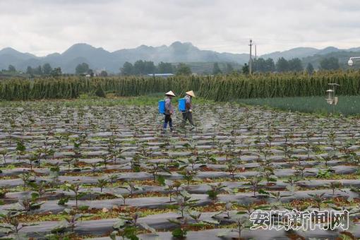 811f3b6c-970a-4960-aa12-c6cd243f3167_IMAGE_5_副本.jpg