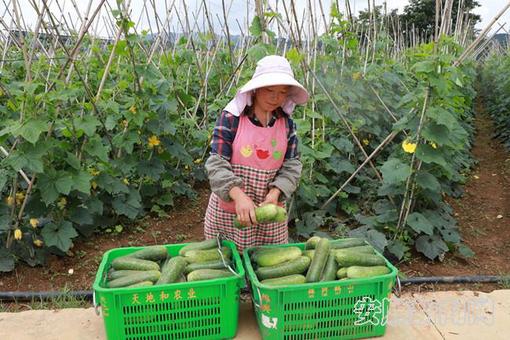 811f3b6c-970a-4960-aa12-c6cd243f3167_IMAGE_11_副本.jpg