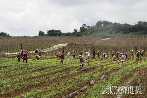 811f3b6c-970a-4960-aa12-c6cd243f3167_IMAGE_9_副本.jpg