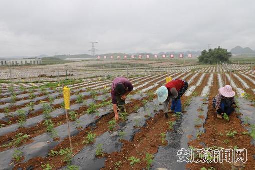 811f3b6c-970a-4960-aa12-c6cd243f3167_IMAGE_7_副本.jpg