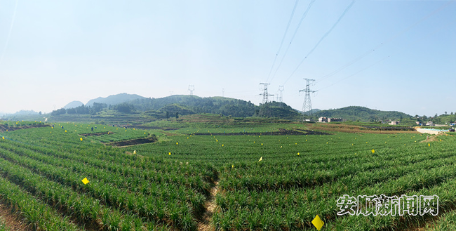 image005