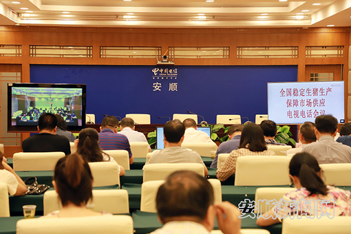 市领导在安顺分会场参加全国稳定生猪生产保障市场供应电视电话会议