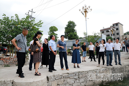 市人大常委会对我市黑臭水体治理情况开展调研