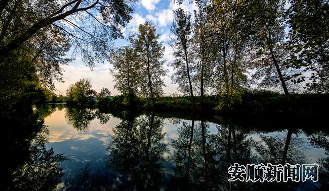 D9779442-F620-4D27-8841-B702C384B19F_IMAGE_6_LOW_0_副本.jpg