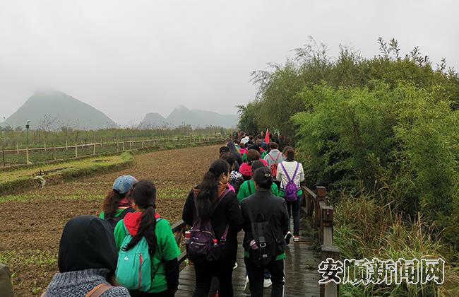 QQ图片20191026102732.jpg