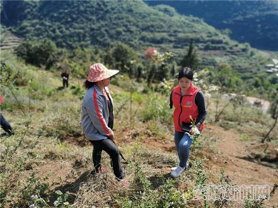 张兴燚到刺梨基地查看长势3.jpg