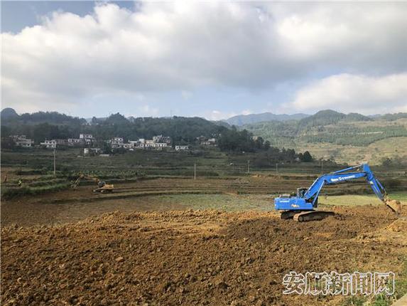 1669049B-3AD7-4BD2-A32A-0F5BF806342F_IMAGE_5_LOW_0_副本.jpg