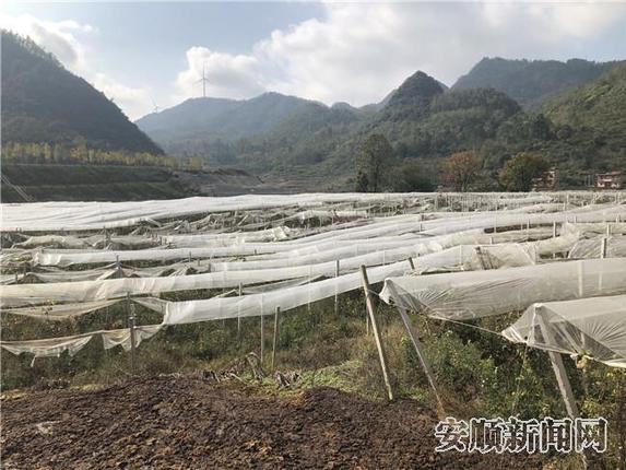 1669049B-3AD7-4BD2-A32A-0F5BF806342F_IMAGE_6_LOW_0_副本.jpg