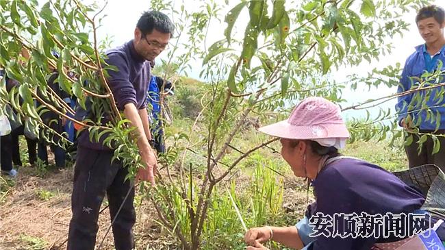 农技专家在田间地头实际指导当地群众.jpg