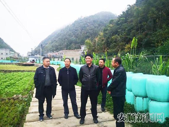 板当镇查看现代循环农业发展情况.jpg