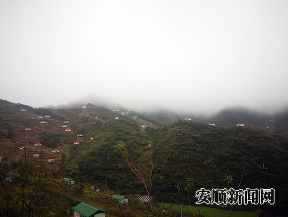 QQ图片20191129100426