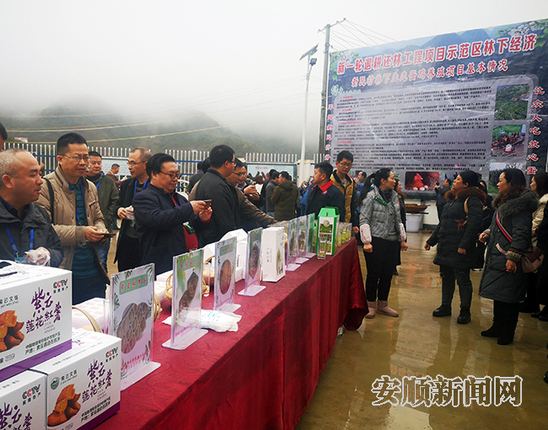 QQ图片20191129100430