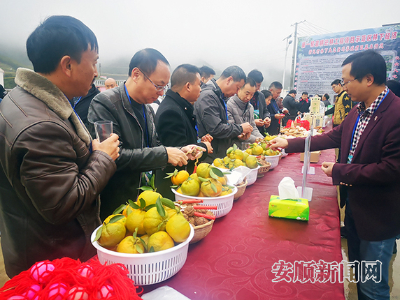 QQ图片20191129100908