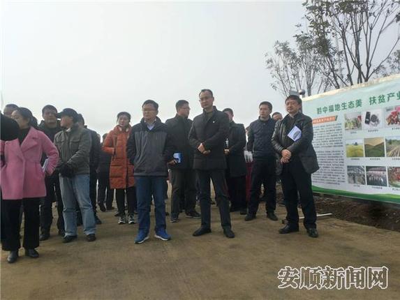 走进高田村观摩高标准蔬菜基地1.jpg 走进高田村观摩高标准蔬菜基地1.jpg