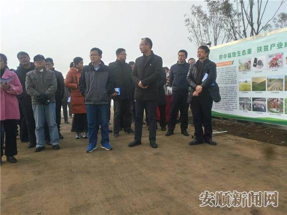 走进高田村观摩高标准蔬菜基地3.jpg 走进高田村观摩高标准蔬菜基地3.jpg