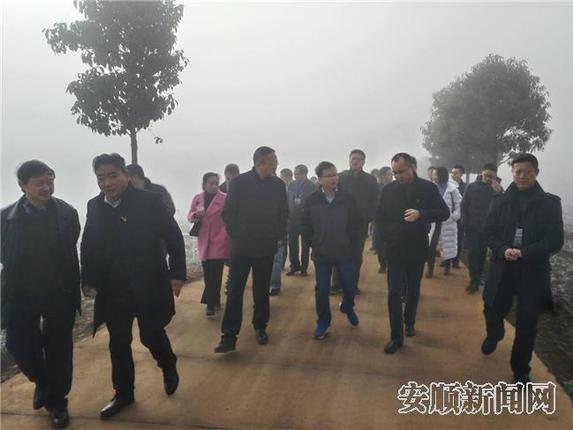 走进高田村观摩高标准蔬菜基地4.jpg 走进高田村观摩高标准蔬菜基地4.jpg