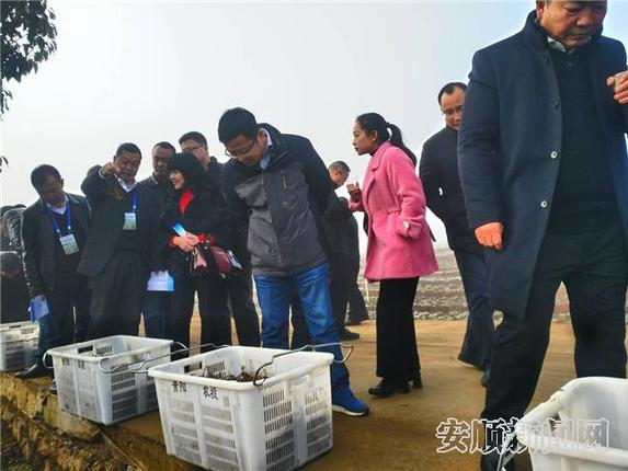 走进高田村观摩高标准蔬菜基地5.jpg 走进高田村观摩高标准蔬菜基地5.jpg
