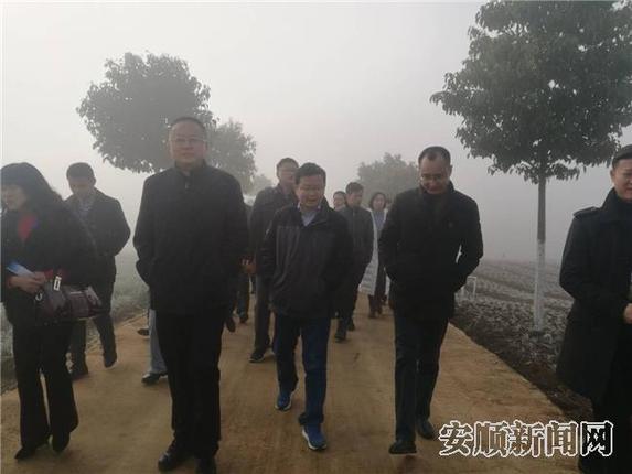 走进高田村观摩高标准蔬菜基地10.jpg 走进高田村观摩高标准蔬菜基地10.jpg