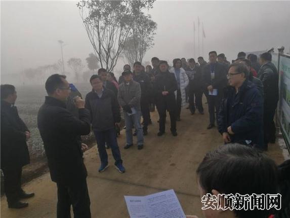 走进高田村观摩高标准蔬菜基地11.jpg 走进高田村观摩高标准蔬菜基地11.jpg