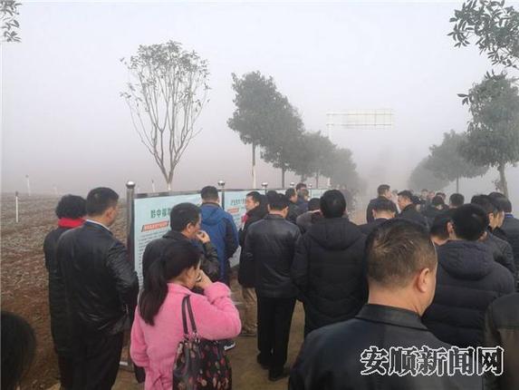 走进高田村观摩高标准蔬菜基地12.jpg 走进高田村观摩高标准蔬菜基地12.jpg