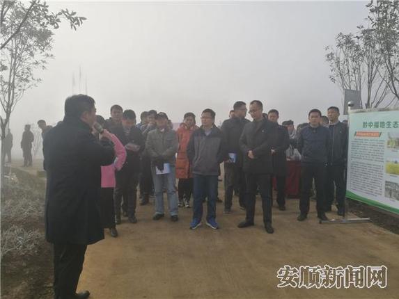 走进高田村观摩高标准蔬菜基地13.jpg 走进高田村观摩高标准蔬菜基地13.jpg